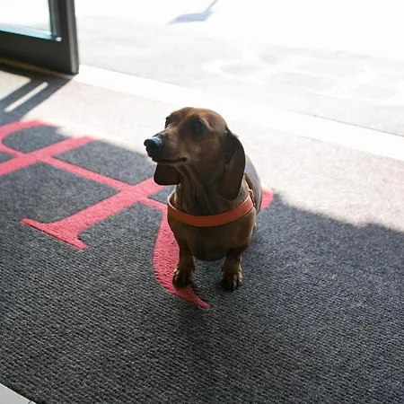 Rex Lägenhetshotell Genua