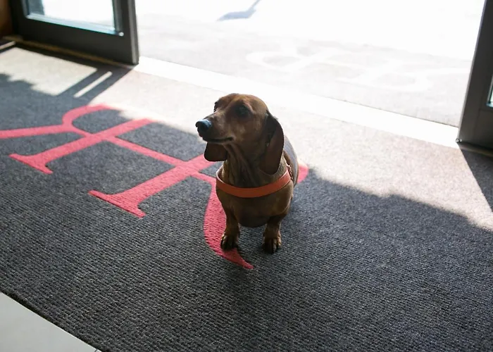 Rex Lejlighedshotel Genova