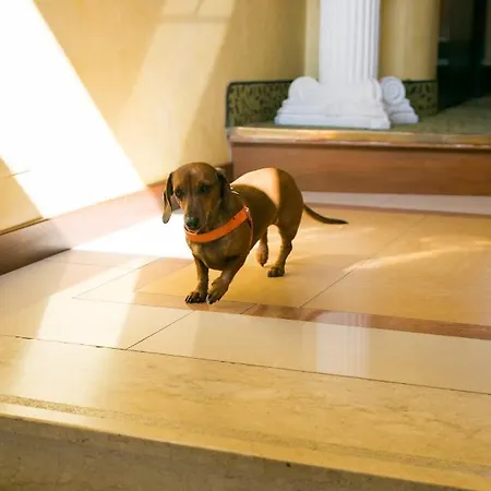 Hotel apartamentowy Rex