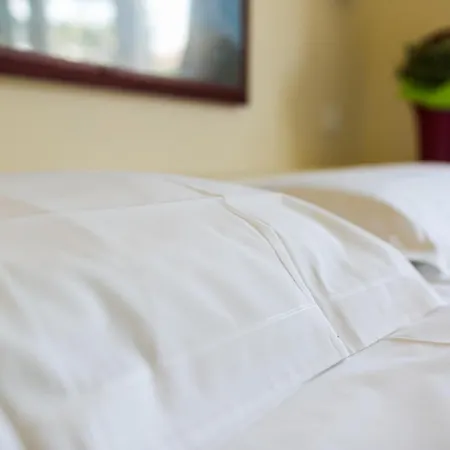 Aparthotel Rex 3*